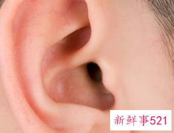 耳朵里面流脓水怎么回事