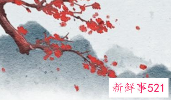 家里插什么鲜花寓意好