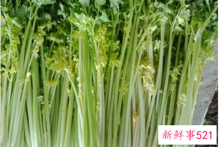 芹菜怎么处理比较脆