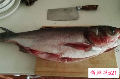 花鱼什么人不能吃