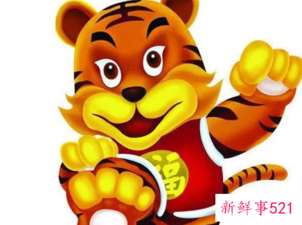 本命年虎年结婚要注意什么