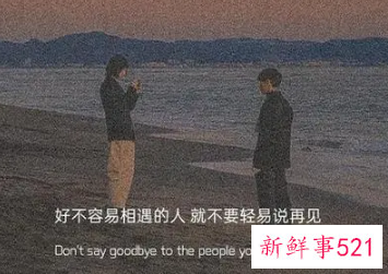 将隐晦爱意说到极致的句子