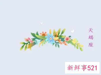 审美眼光很好的星座女