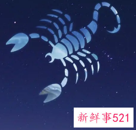 不好惹的三大星座