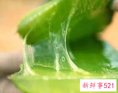 刚摘的芦荟可以擦脸吗