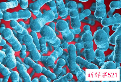 病毒阳性什么意思