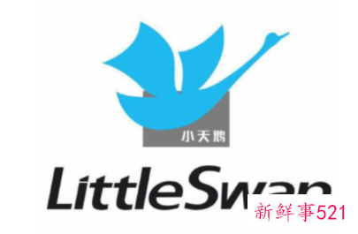 国产洗衣机十大排名榜