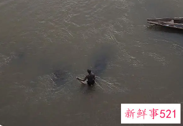 梦见有人掉河里