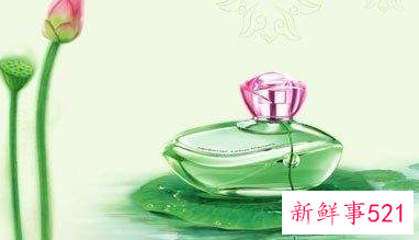 冒险岛费洛蒙香水如何使用