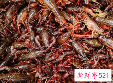 小龙虾怎么长时间保存