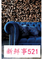 梦见丝绒什么意思