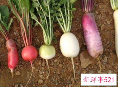 属于蔬菜类的有什么蔬菜