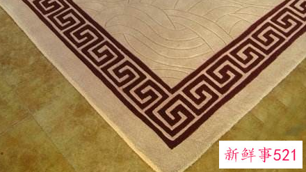 客厅地毯如何清洁