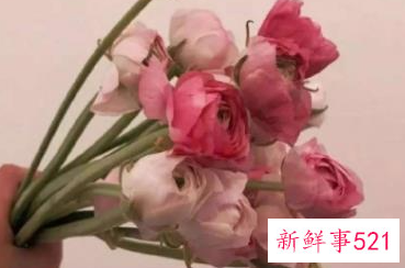 关于敬业的创意口号