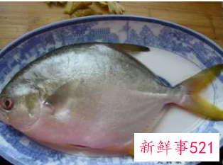 春季吃什么鱼对孩子好