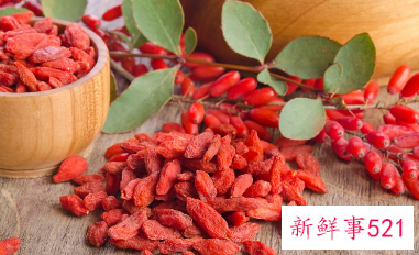 枸杞叶是凉性的吗