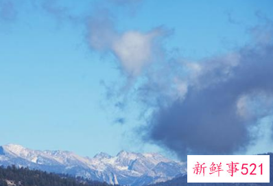 做事果断的星座女