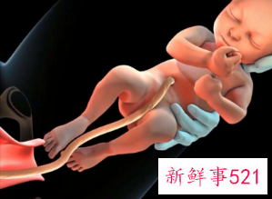 臀位一般会早产多久