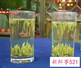 绿剑茶冲泡方法