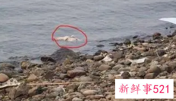 梦见自己和亲人在河里埋死人