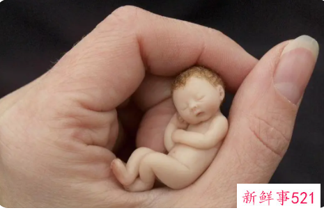 都说育儿误区多这些误区你中招了吗