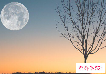 花好月圆的寓意