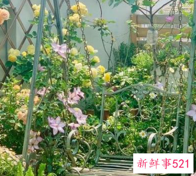 露天阳台防水用什么材料好