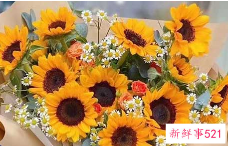 送母亲鲜花送什么花