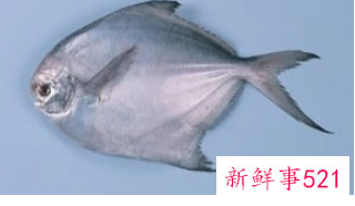 春季吃什么鱼对孩子好