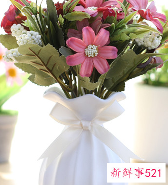 餐桌放什么植物好