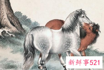 控制欲超强的变态生肖男