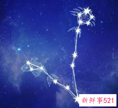 十二星座人品好星座