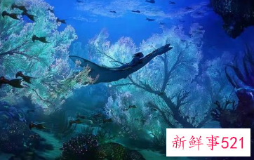 传阿凡达2预告最快5月6日推出