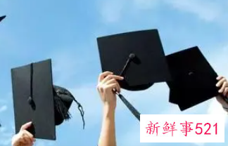 毕业生就业意向怎么填财经院