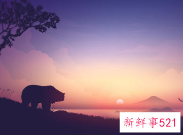 男人单身发朋友圈的精美句子