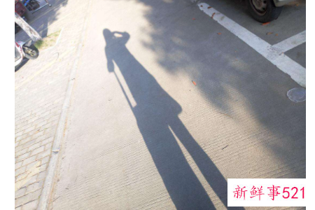 梦见人影会怎么样