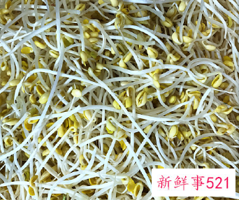 天天吃黄豆芽对身体有好处吗