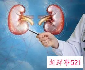 补肾调理的最佳方法