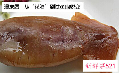 如何辨别假鱼胶和真鱼胶