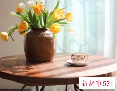 不适合摆放在家里的植物