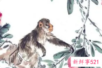 属猴吉祥数字车号