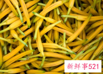 黄花菜的功效与作用及营养价值