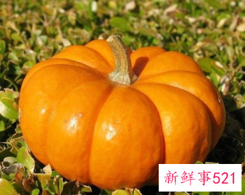 梦见偷南瓜的寓意