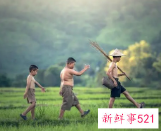 孩童发展分为那七个阶段