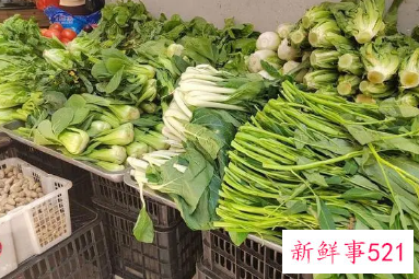 蔬菜名字名称图样