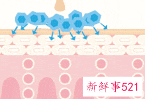 皮肤屏障怎么加快修复