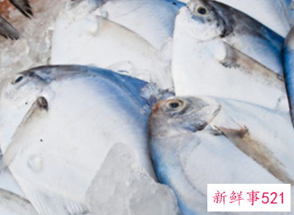 鱼怎么冷藏保存
