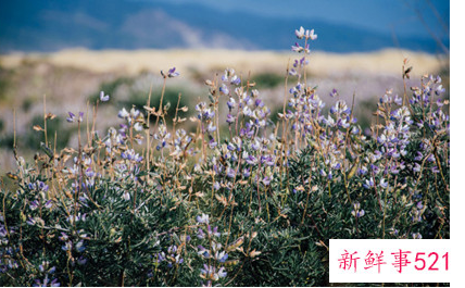 下午可以看望病人