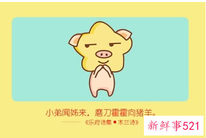 1983年属猪人永远最旺的颜色