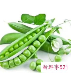 叶菜类蔬菜保鲜技术